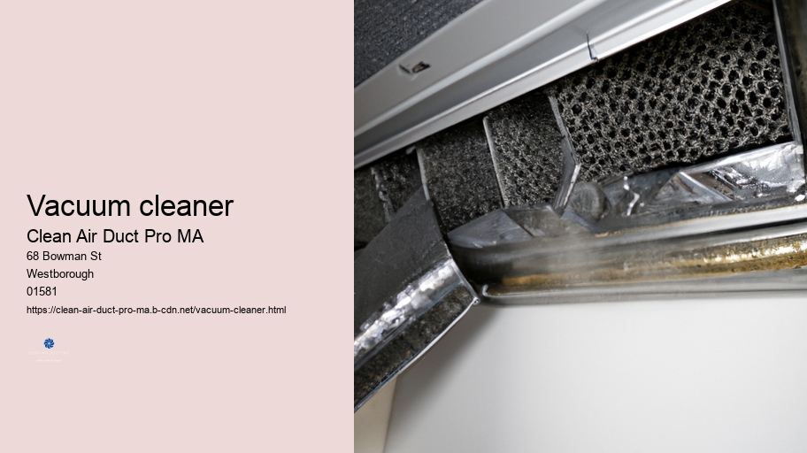 Vacuum cleaner